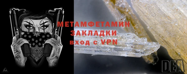 прущие грибы Бежецк