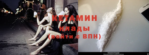 прущие грибы Бежецк