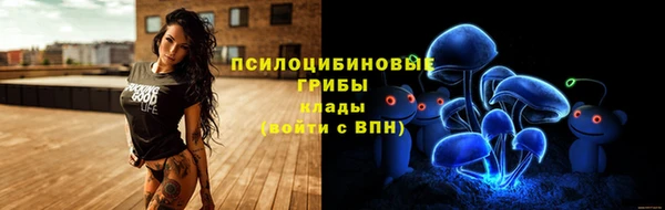 прущие грибы Бежецк