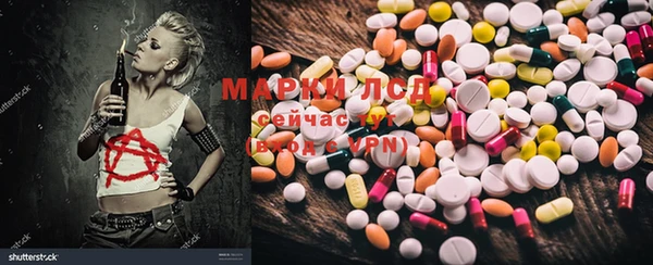 прущие грибы Бежецк