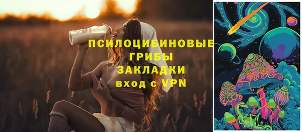 прущие грибы Богданович