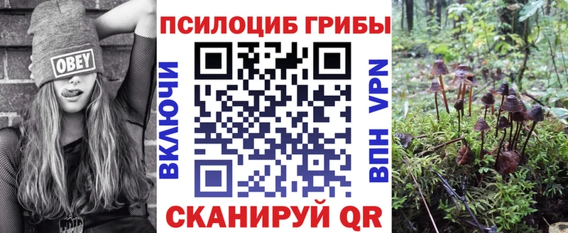 Псилоцибиновые грибы GOLDEN TEACHER наркота blacksprut зеркало Гагарин
