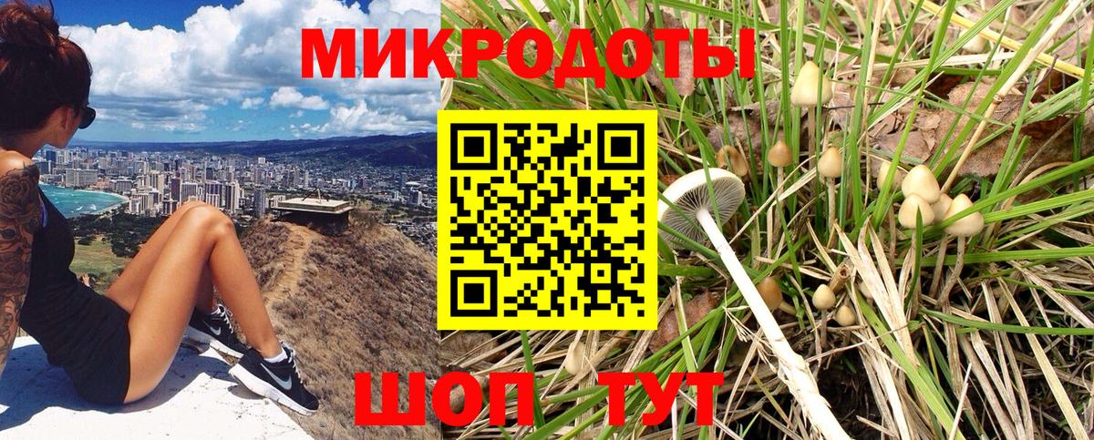 закладка  Вход с VPN  Гагарин  Галлюциногенные грибы мицелий 
