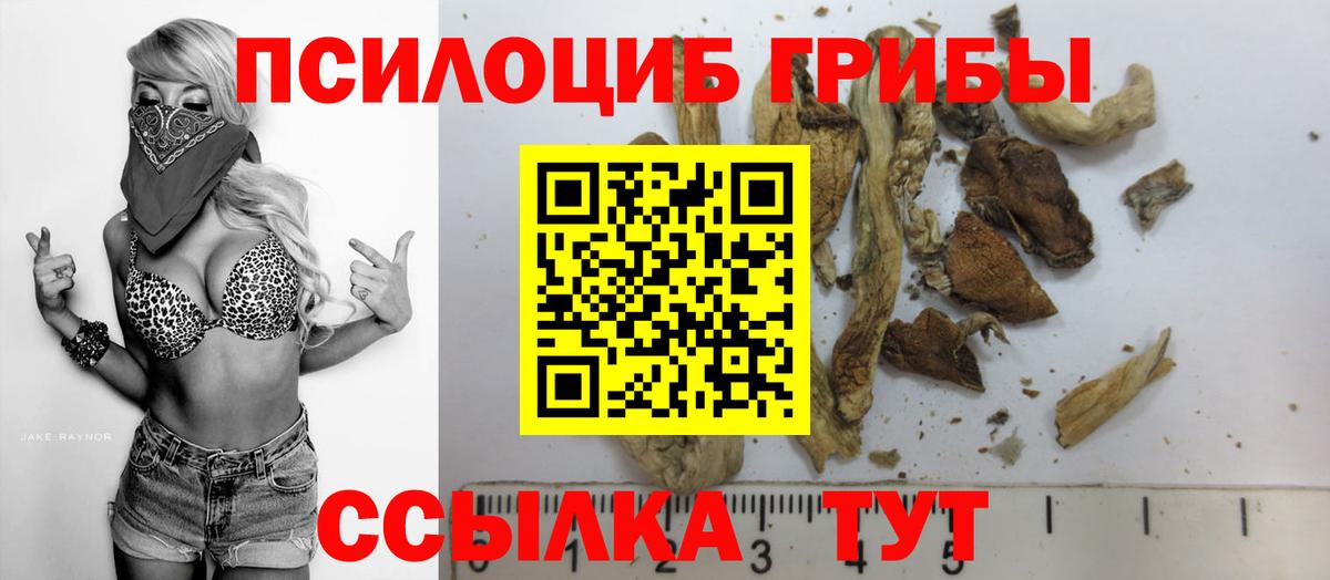 Псилоцибиновые грибы GOLDEN TEACHER Гагарин
